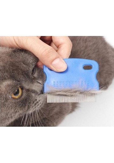 Catdoglife Orta ve Kısa Tüylü Kedi Bit Pire Dış Parazit Tarağı Mavi