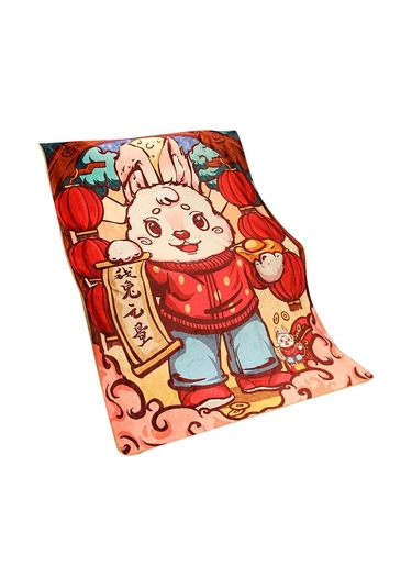 Homyl 31 "x 43" Yumuşak Atma Battaniye Flanel Oturma Stil-a Stil A Çok Renkli