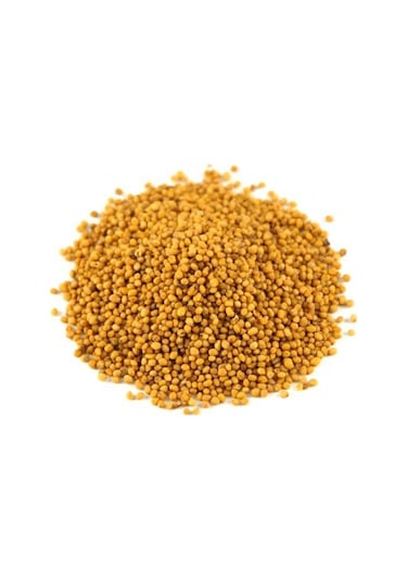 Lokman Tane Sarı Hardal 100 G