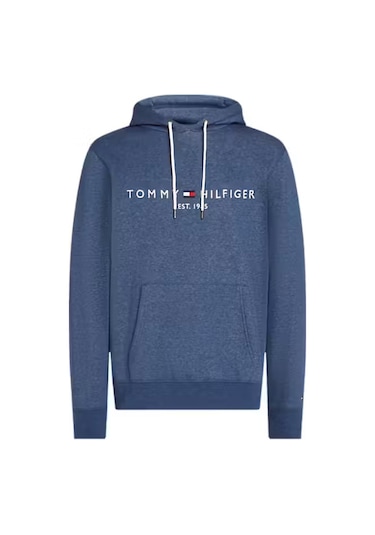 Erkek Kapüşonlu Logo Baskılı Sweatshirt - Mavi Aegean Sea Heather
