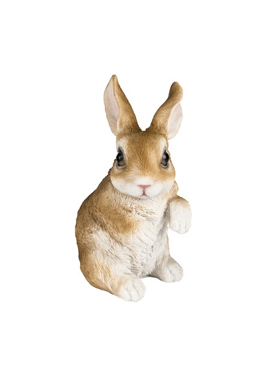 Garden With Ware Dekoratif Obje Tavşan