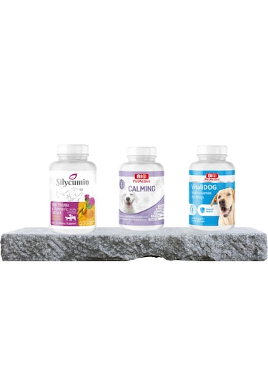 Purecanpati Köpek Vitamin Destek Seti Silycumin Calming Vitalidog