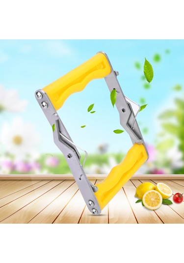 Hangfox Arı Kovanı Çerçeve Kaldırıcı Aleti - Paslanmaz Çelik, Kaymazsız Tutamak, Ergonomik Tasarım, El Koruyucu Ve Dayanıklı