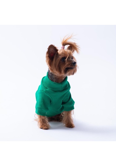 Yeşil Avocado Avokado Nakışlı Esnek Kedi Köpek Sweat- Kedi Köpek Kıyafeti