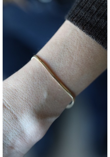 14 Ayar Altın İtalyan Balıksırtı Bileklik 2,5 Mm Blk27119 Sarı Altın