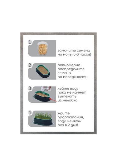 Teltree Kedi Köpek Çim Bitirme Seti - Su Yetiştirme Tepsisi, 5 Tohum Paketi, Gri Ve Parlak Yeşil Abs Plastik