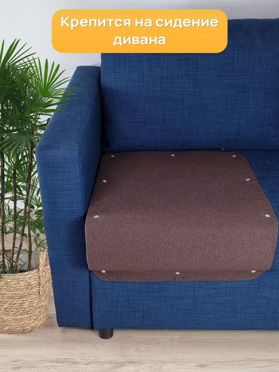 Aseliadia Kedi Kınağı - 80x50 Cm Kanepe Tipi 214462810