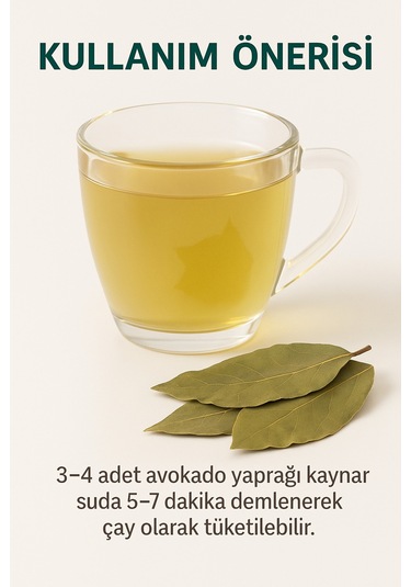 Avokado Yaprağı 40 Gr Doğal Kurutulmuş Bitki Çayı