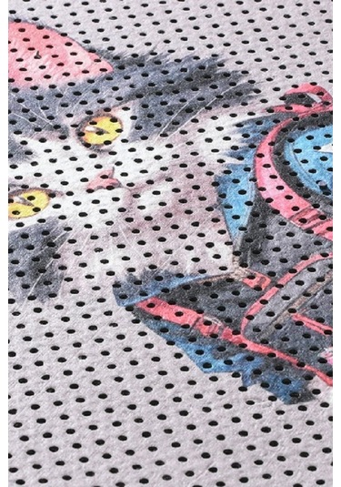 Kar Mat Kedi Kumu Paspası Delikli Kedi Tuvaleti Paspası 40 x 60 CM