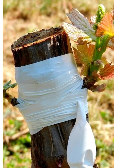 Silikonlu Aşı Bandı 50 Metre