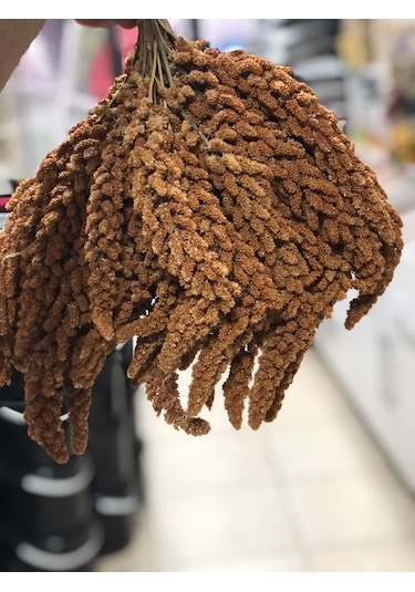 Kızıl Daldarı 1 Kg Mammamiamix