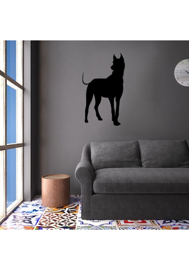 Köpek Folyo Sticker Derstv885 200cm Uzunluk Siyah
