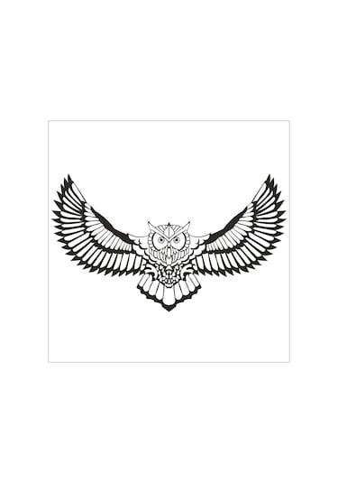 Baykuş Folyo Sticker 130cm Uzunluk Karışık Renkli