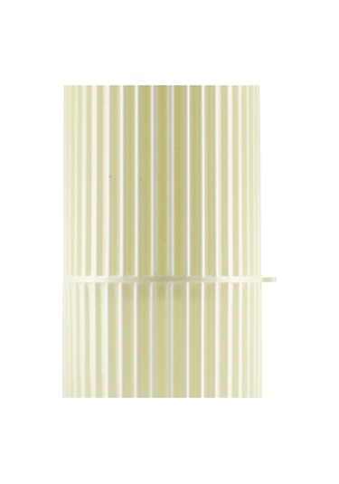 Pazly Suntek Seyahat Kabı İş Için Fırçası Diş Beyaz Banyo Uw Beyaz