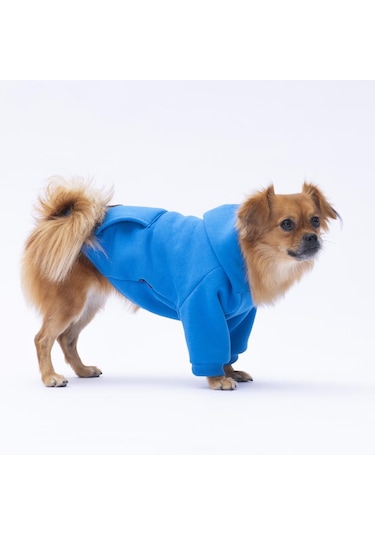 Mavi Kanguru Cepli Kedi-köpek Hoodie- Sweatshirt Kedi Köpek Kıyafeti
