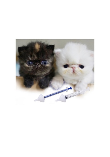 Suntek 2 Adet Yedek Meme Şişesi Kediler Köpekler Için