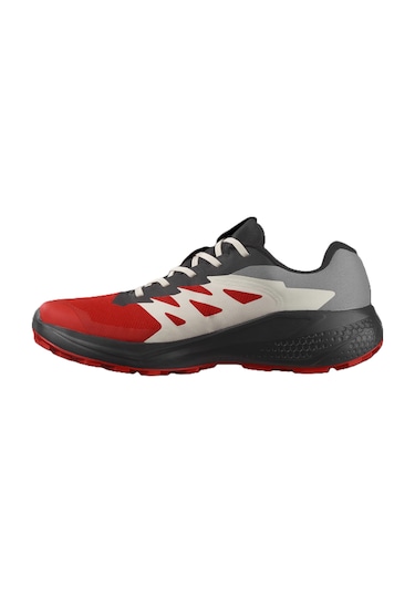 Salomon Alphaglıde Gore-tex Erkek Ayakkabısı L47975200 Çok Renkli