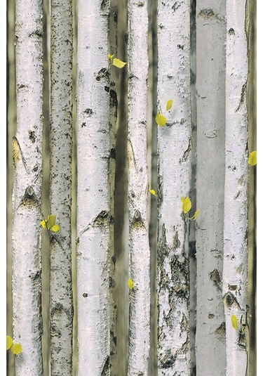 Zümrüt Exclusive Ağaç Desenli Duvar Kağıdı 9270