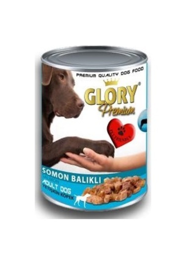 Glory Premium Somon Balıklı Konserve Yetişkin Köpek Maması 12 x 400 G