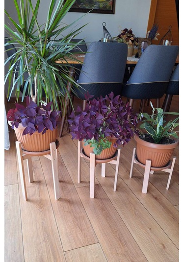 Saksılık 3 Adet,büyük Boy Saksılar İçin Kayın Ağacından