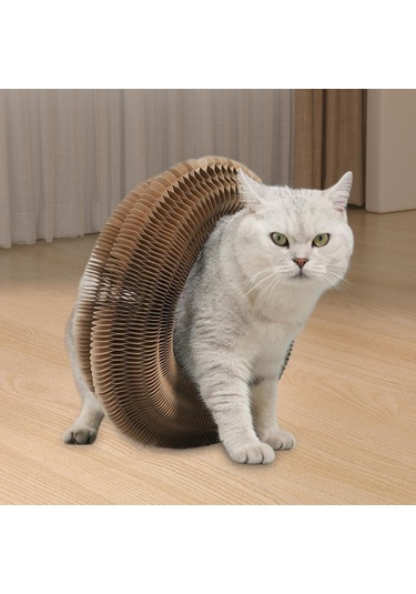 Suntek Organ Kedi Tırma Tahtası Tırmalama Katlanabilir Bir