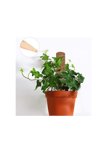 Qingmipy 4 Adet 45cm Hindistan Cevizi Lifli Bitki Tırmanma Desteği - Saksı Bitkileri İçin Pratik Destek Çubuğu