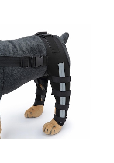 Homyl Köpekler Arka Bacaklar Dizlik Siyah-mavi-küçük