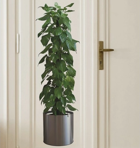 Saksılı Bitki Tasarımlı Yapışkanlı Sticker Resim 90 30 Cm 4741 Akçaağaç