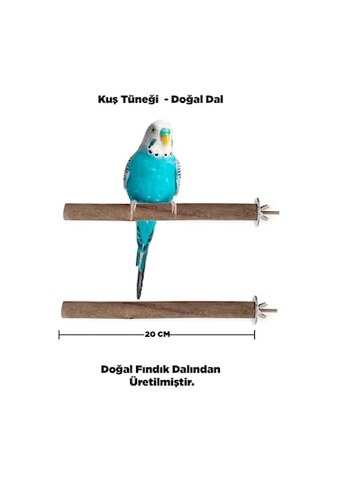Doğal Ahşap Kuş Tüneği 20 Cm - Gerçek Fındık Dalı