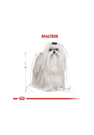 Royal Canin Maltese Terrier Yetişkin Köpek Maması 1500 G