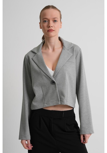Alexander Gardi Alexandergardı Astarsız Crop Blazer Ceket Açık Gri
