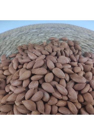 Gün Kurusu Çekirdek 500 Gram - Malatya 500 G