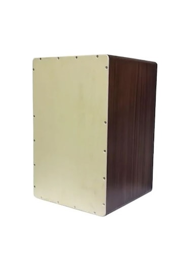 Rhythm Percussion Rtcaah - Çatlak Boyalı Kılıflı Cajon