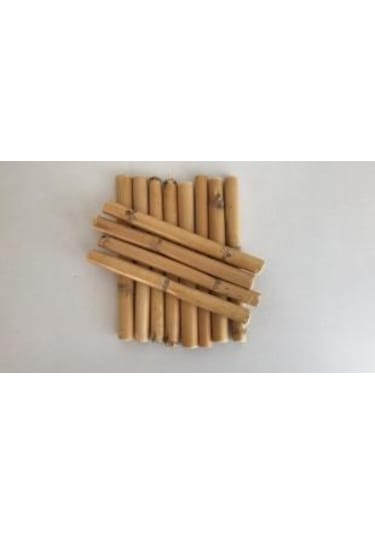 Bambu 10 Cm 12 'li Paket