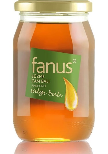 Fanus Çam Balı 460 G