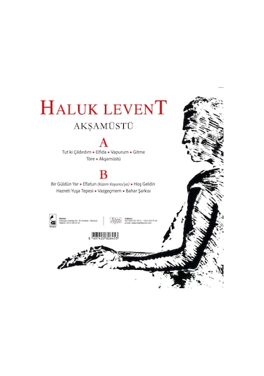 Haluk Levent - Akşamüstü Plak