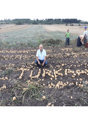 10 L Turkuvaz Bat Power Organik Sıvı Yarasa Gübresi