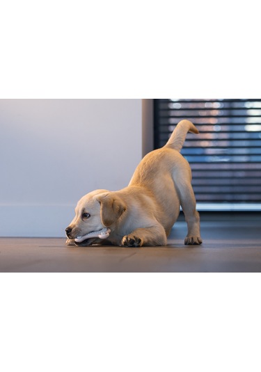 Beeztees Yavru Köpek Diş Oyuncağı, İçi Dolu Halka, Kauçuk, Pembe, 10cm