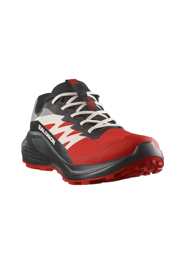 Salomon Alphaglıde Gore-tex Erkek Ayakkabısı L47975200 Çok Renkli
