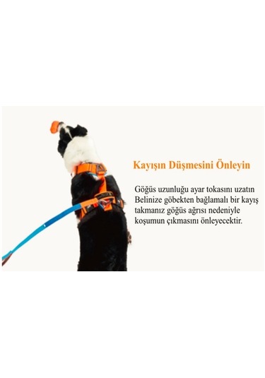 Interlaken H Koşum Takımı Ped Tipi Siyah Kırmızı Göğüs Tasması S Kırmızı - Siyah