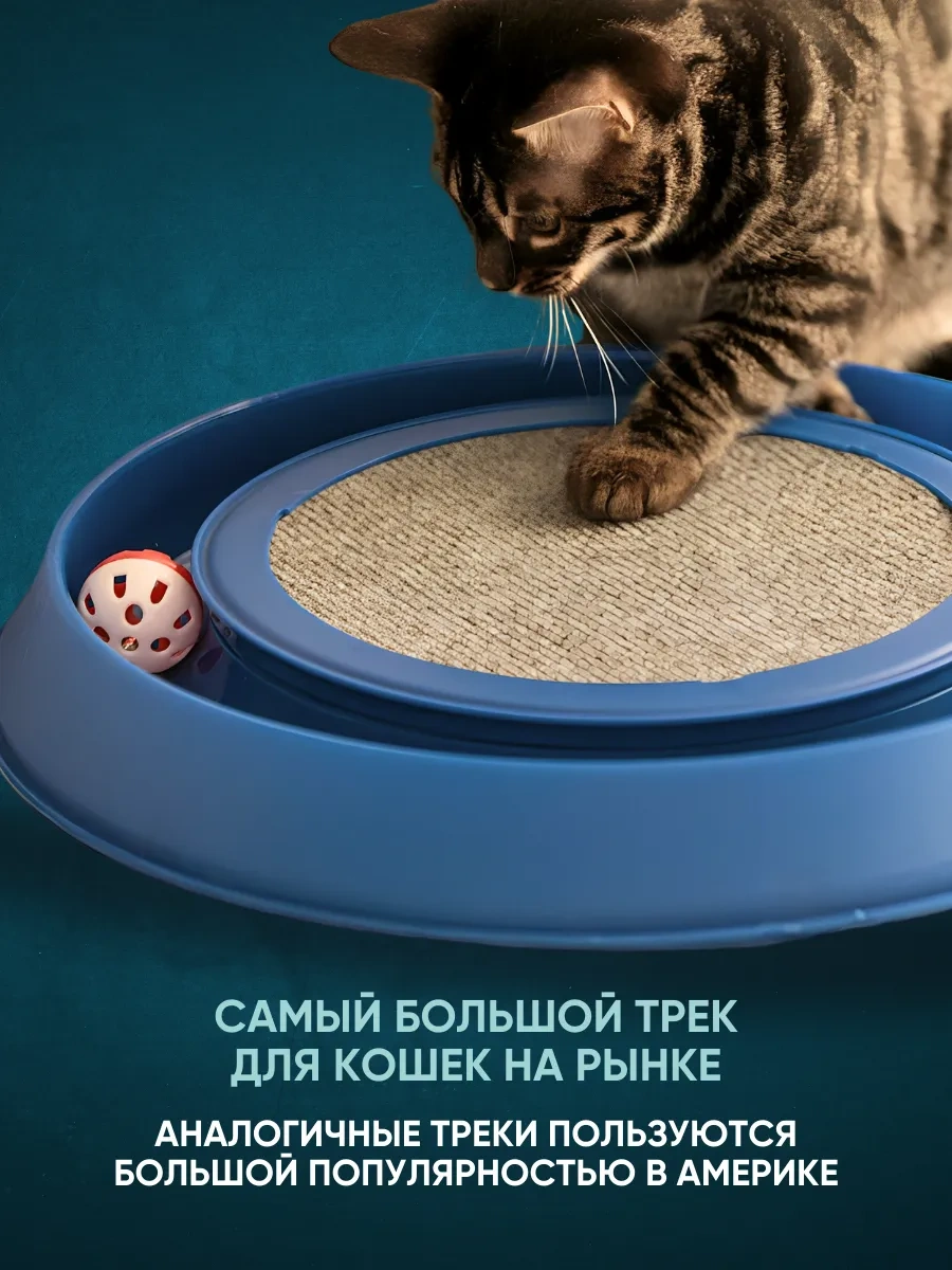 Anticarapki Yer Tipi Kedi Tırmalama Tahtası 418582735