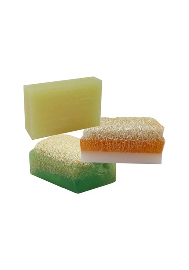 Doğal Kabak Lifli Alovera-Doğal Kabak Lifli  Keçi Sütlü Portakal