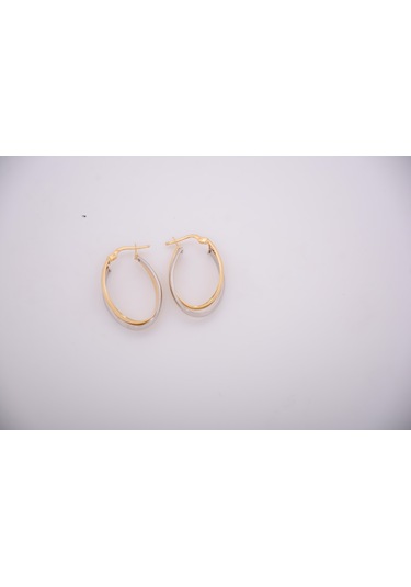 Özden Kuyumcusu 14 Ayar Altın Küpe Ozdkup017