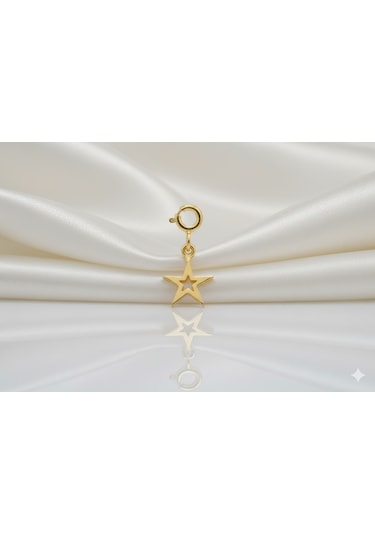 Ariş Yıldız Charm Altın Kolye Ucu N11.20495