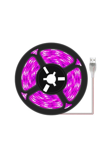 Bitki Işık Şeritleri - İç Mekan Bitkileri, Sukulentler, Hidro Çok Renkli