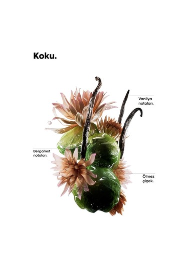 Absolut Repair Molecular Çift Fazlı Profesyonel Saç Bakım Yağı 90 Ml