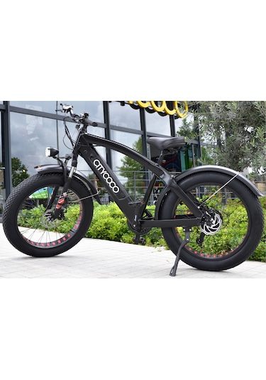 Citycoco Fatbike 250W