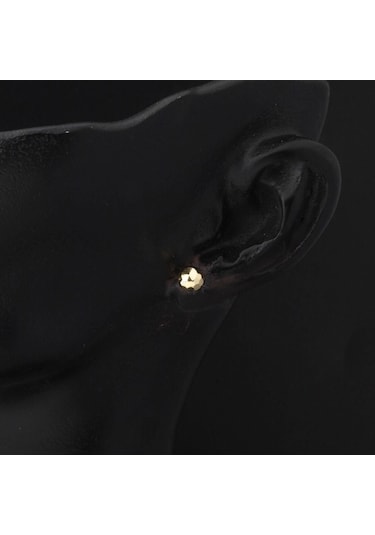 Bilezikci Petek 14 Ayar Altın Top Küpe 5 Mm. Kpads14k29566