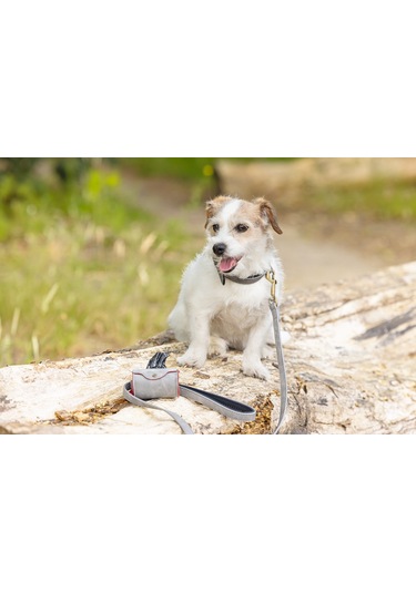 Beeztees Köpek Dışkı Toplama Poşeti Taşıma Çantası, Gri, 8x5x5cm