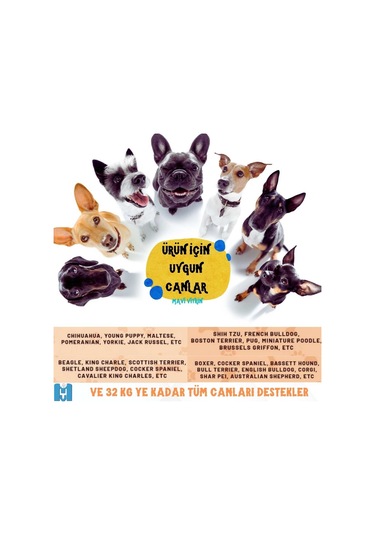 Mavi Vitrin Yıkanabilir Kedi ve Köpek Yatağı Large